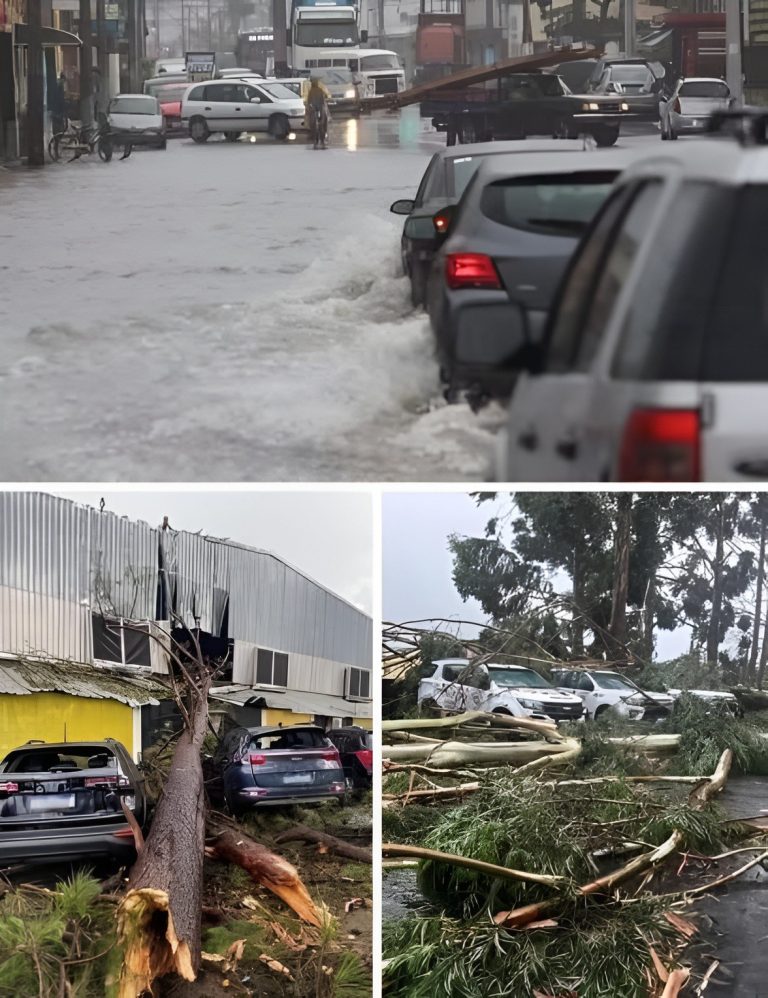 Urgent! Now a severe thunderstorm is moving to the cities of… See more