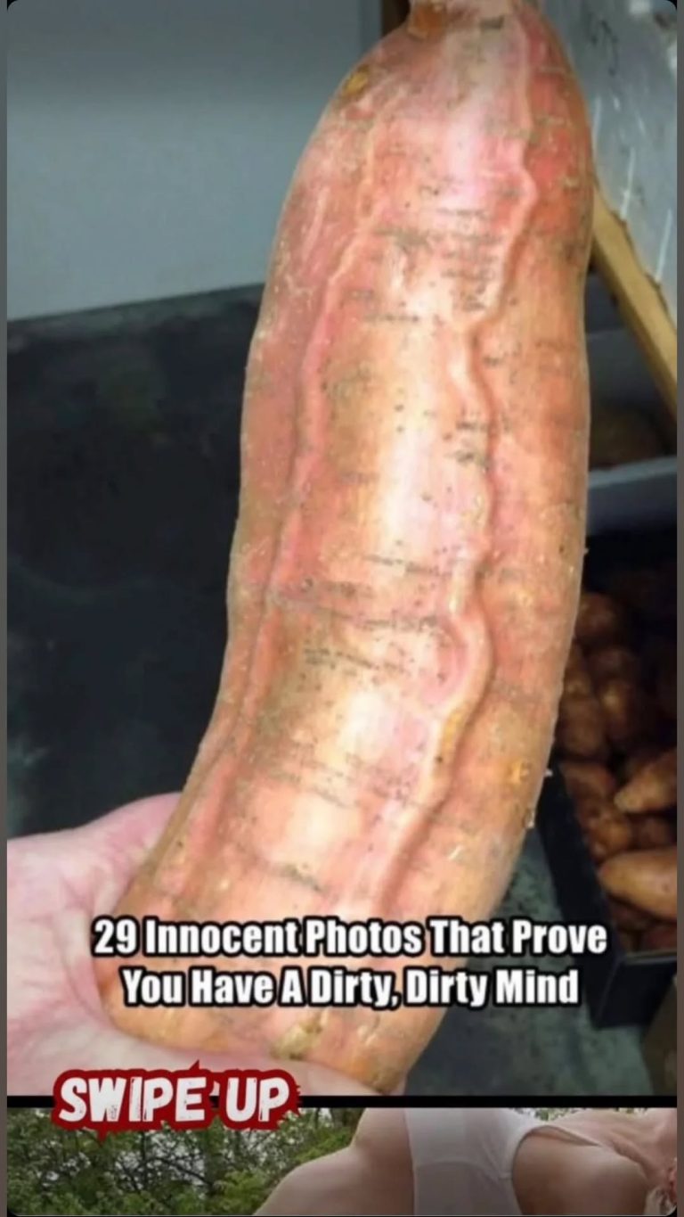 ST9. Good luck not gasping once you see these photos