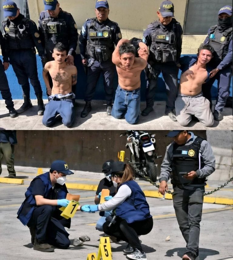 Breaking News: The most dangerous criminals captured… See more