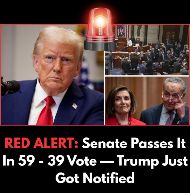 Senate Confirms Trump Envoys To UK, Turkey, Italy